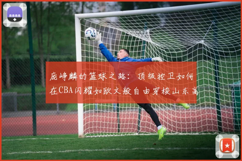 庞峥麟的篮球之路：顶级控卫如何在CBA闪耀如欧文般自由穿梭山东高速